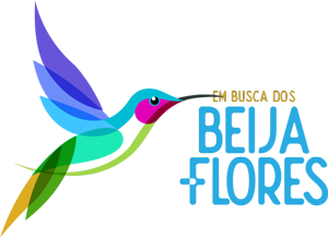 Em busca dos beija-flores